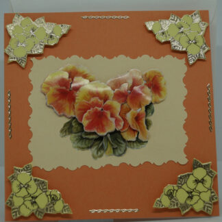 Stiefmütterchen-Orange