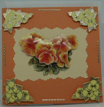 Stiefmütterchen-Orange